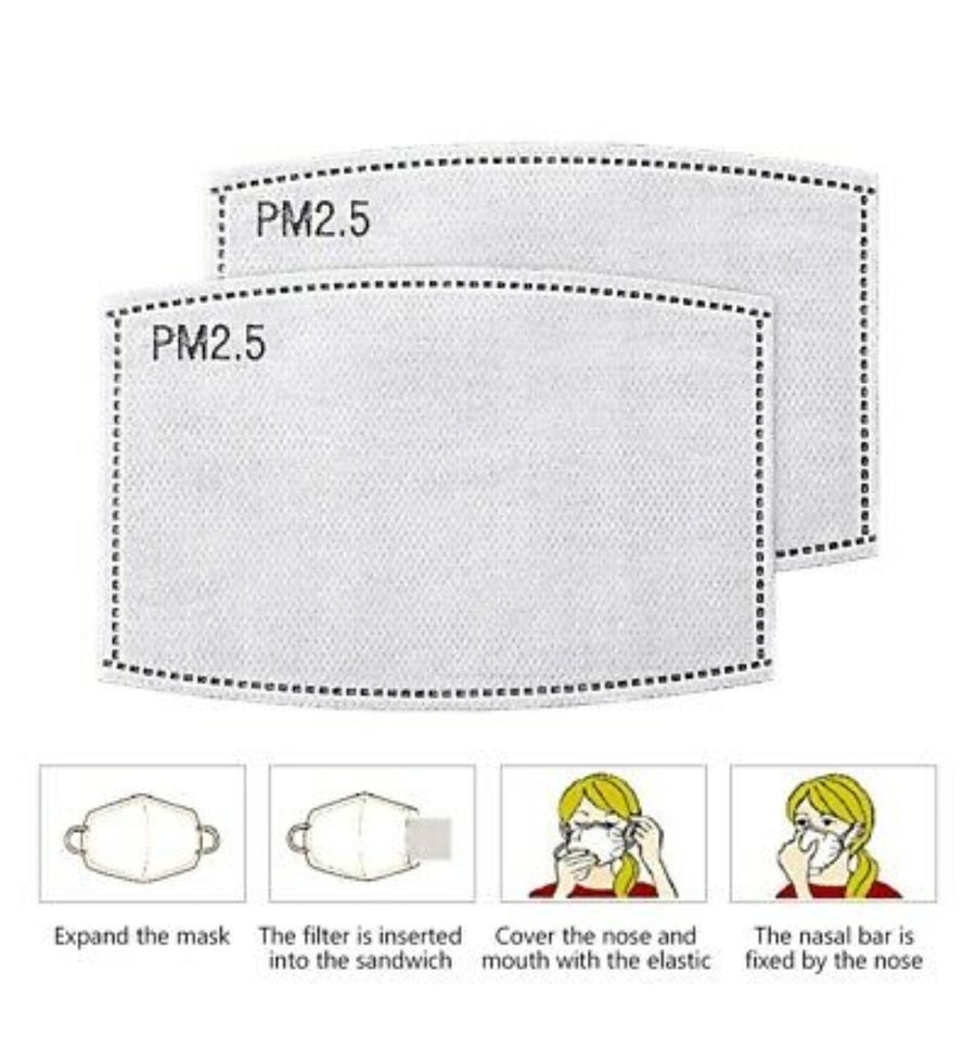 PM 2.5 Face Mask Filters - 10 Pack (Will ship with in 24 hours)